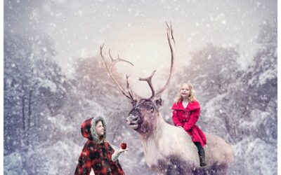 Happy Holidays from Brittany Rae Photography | Maine Fantasy Photographer