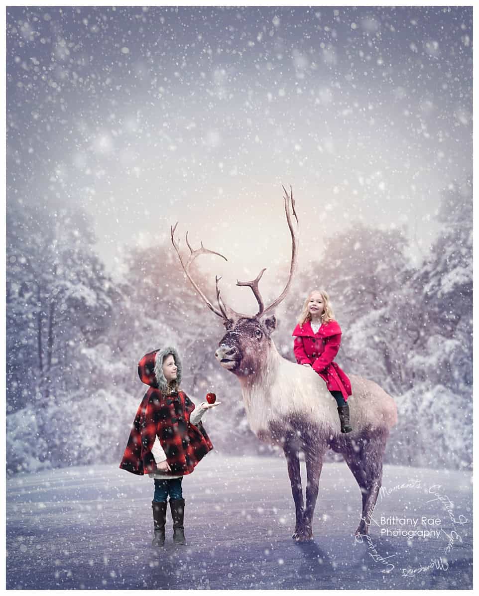 Maine Fantasy Photographer - Brittany Rae Photography - Children with reindeer in the snow