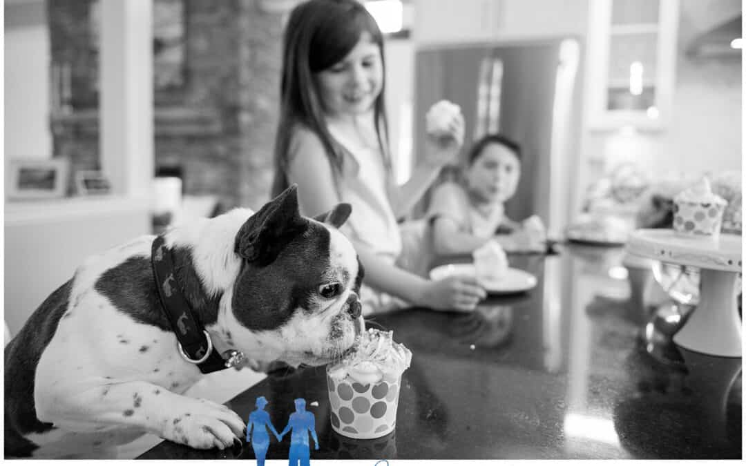 The D Family a Day in the Life | Maine Lifestyle Family Photographer