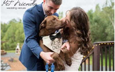 Dog Friendly Wedding Venues in New England | Maine Wedding Photographers