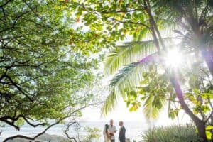 A couple stands under lush green trees by the ocean, holding hands and reciting vows with an officiant present. The sun shines brightly through the foliage.
