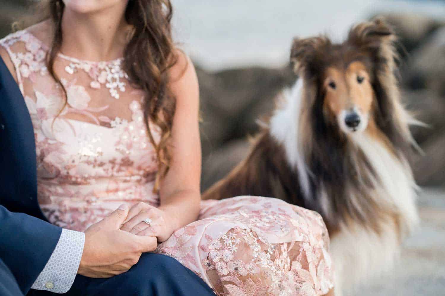 A woman in a floral dress holds hands with a man in a suit while a Collie sits nearby, looking towards the camera.