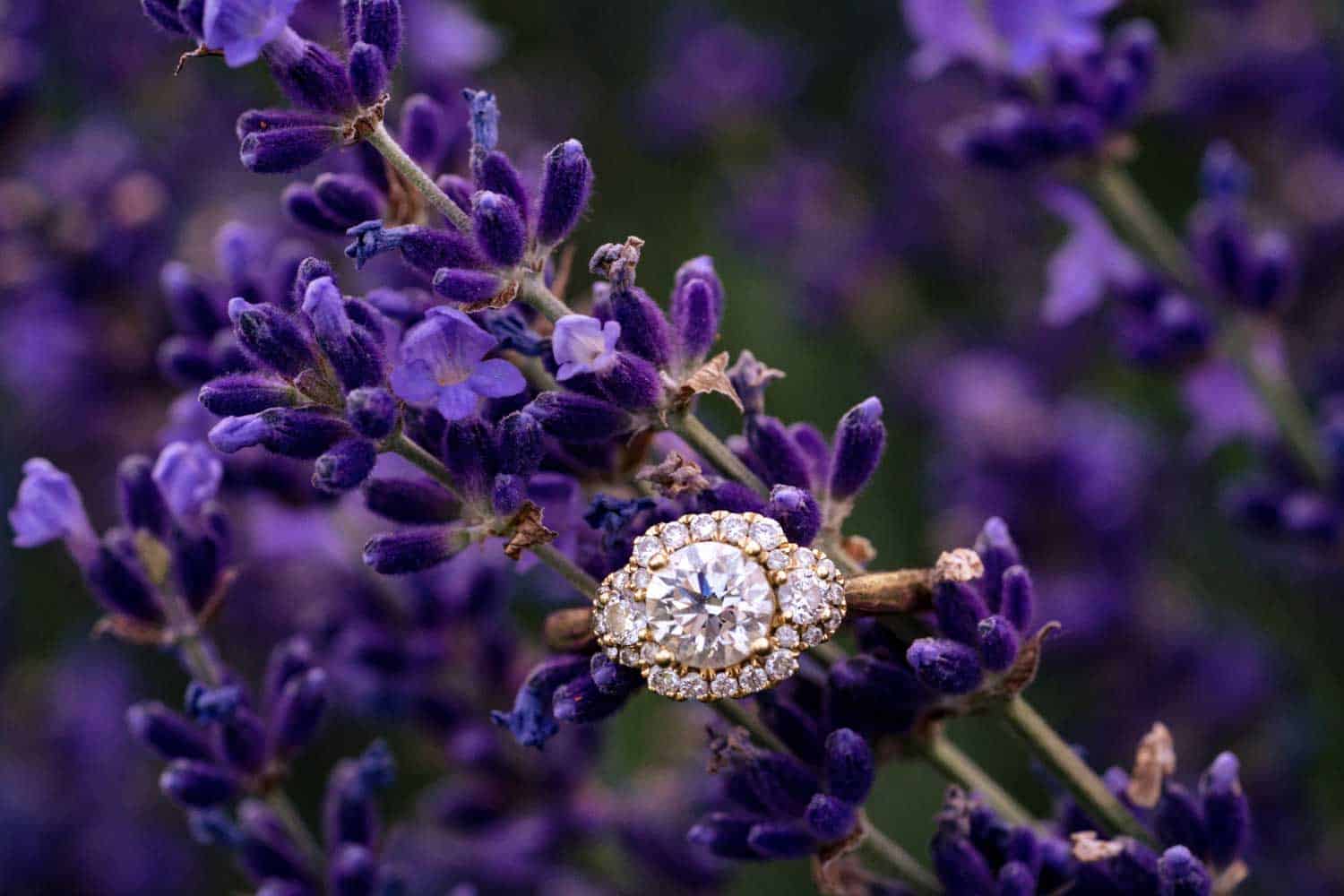 A diamond ring with a halo of smaller diamonds is placed among blooming purple flowers.