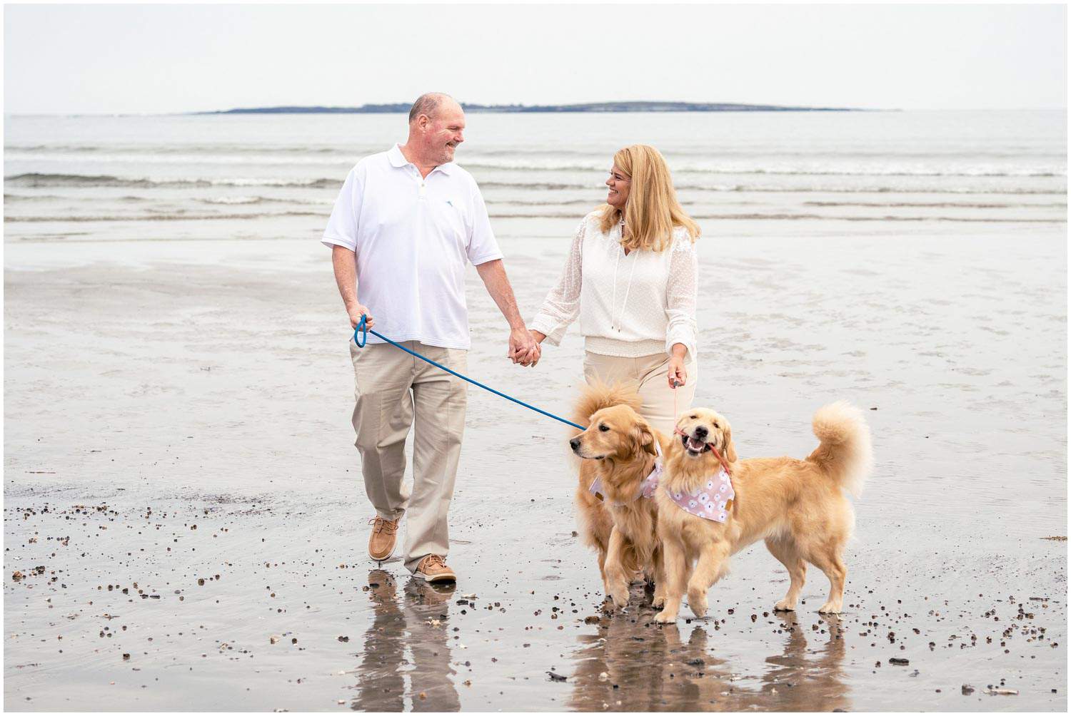 A couple walks on the beach with two golden retrievers on leashes, holding hands and smiling.