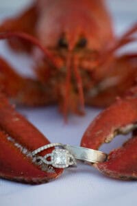 Close-up of a diamond engagement ring and a wedding band held between the claws of a cooked lobster, set against a light background.
