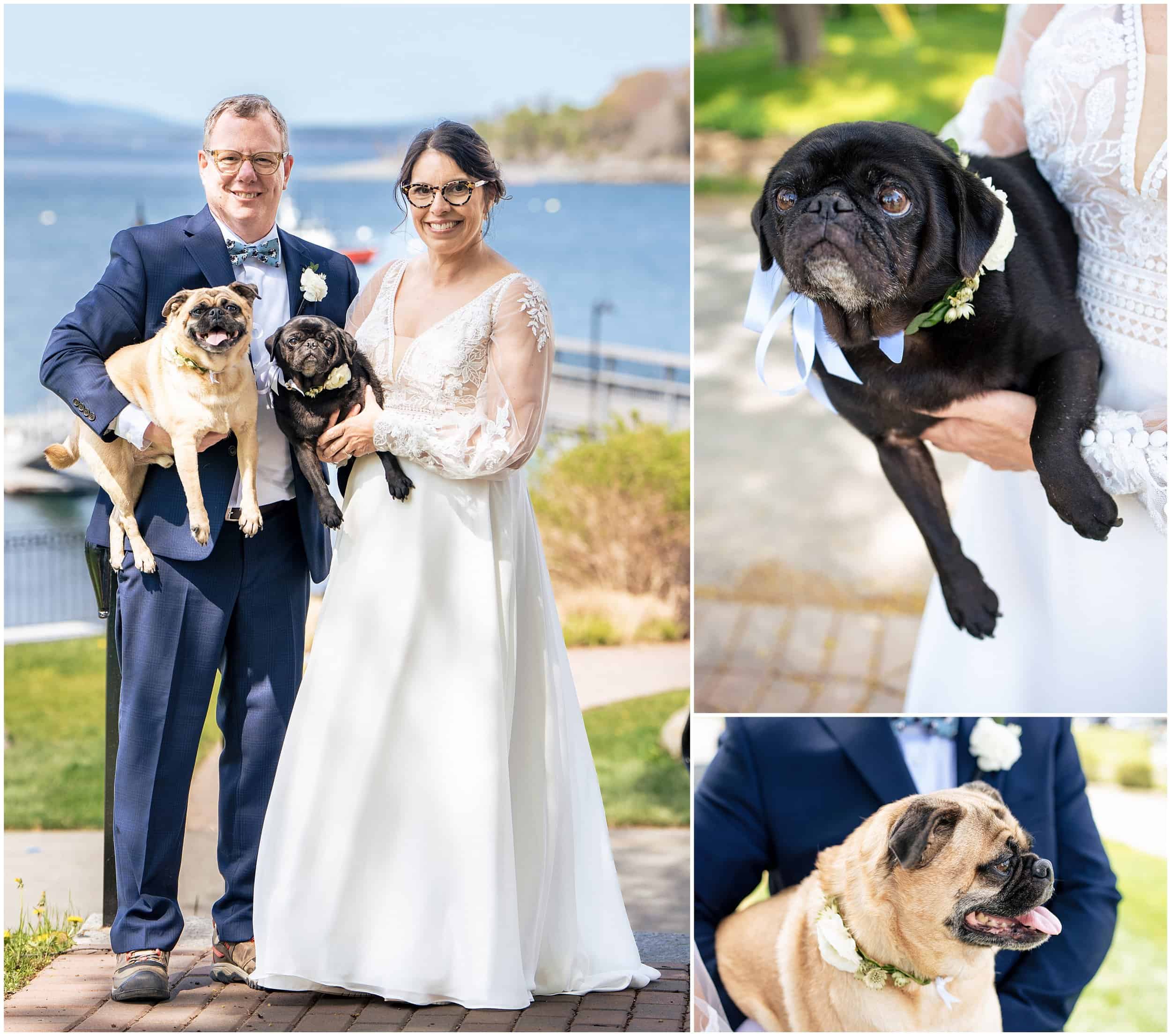 Bar Harbor Wedding Photographers, Acadia National Park Wedding, Two Adventurous Souls - 052124_0015.jpg