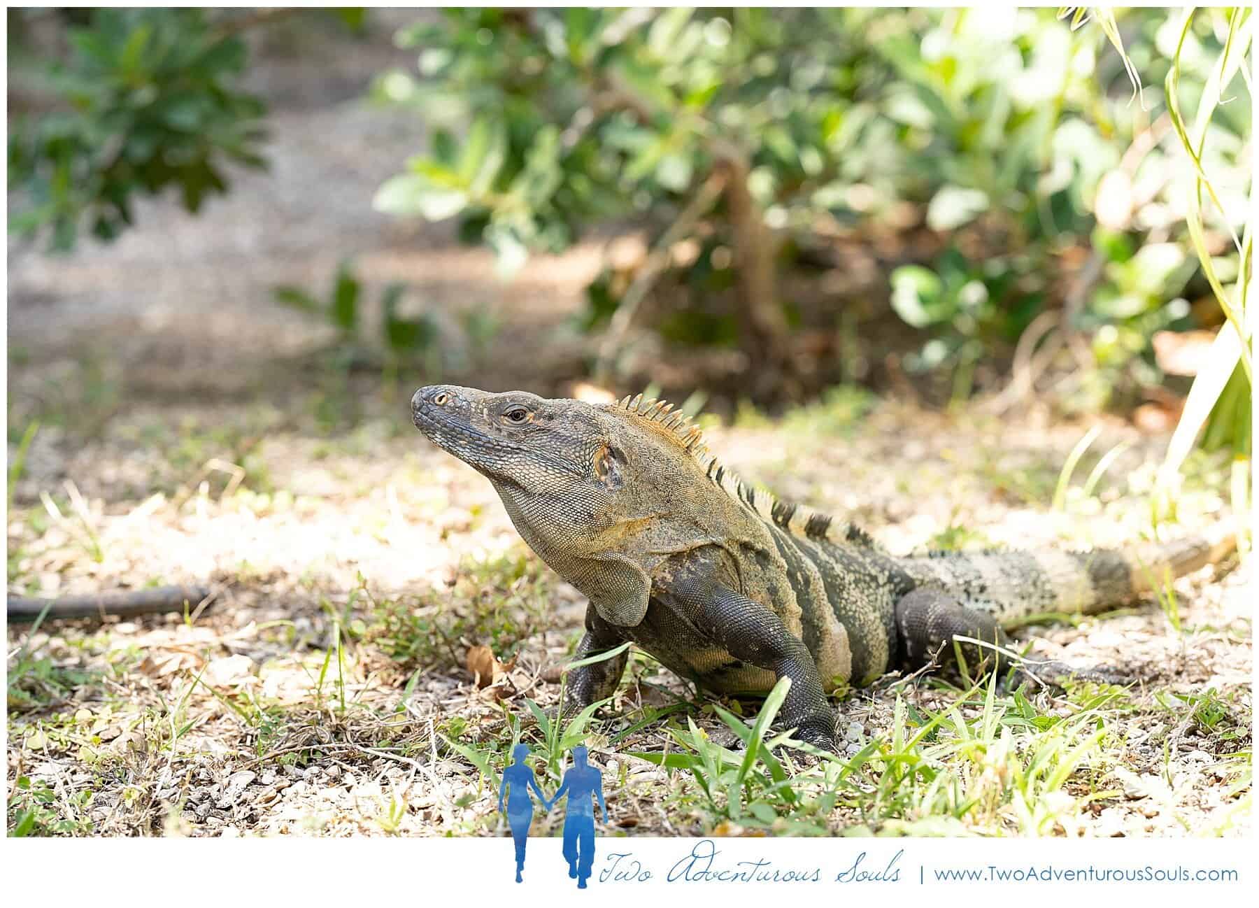 Costa Rica Wedding Photographers, Westin Playa Conchal Wedding Photographers, Two Adventurous Souls - 021520_0007.jpg