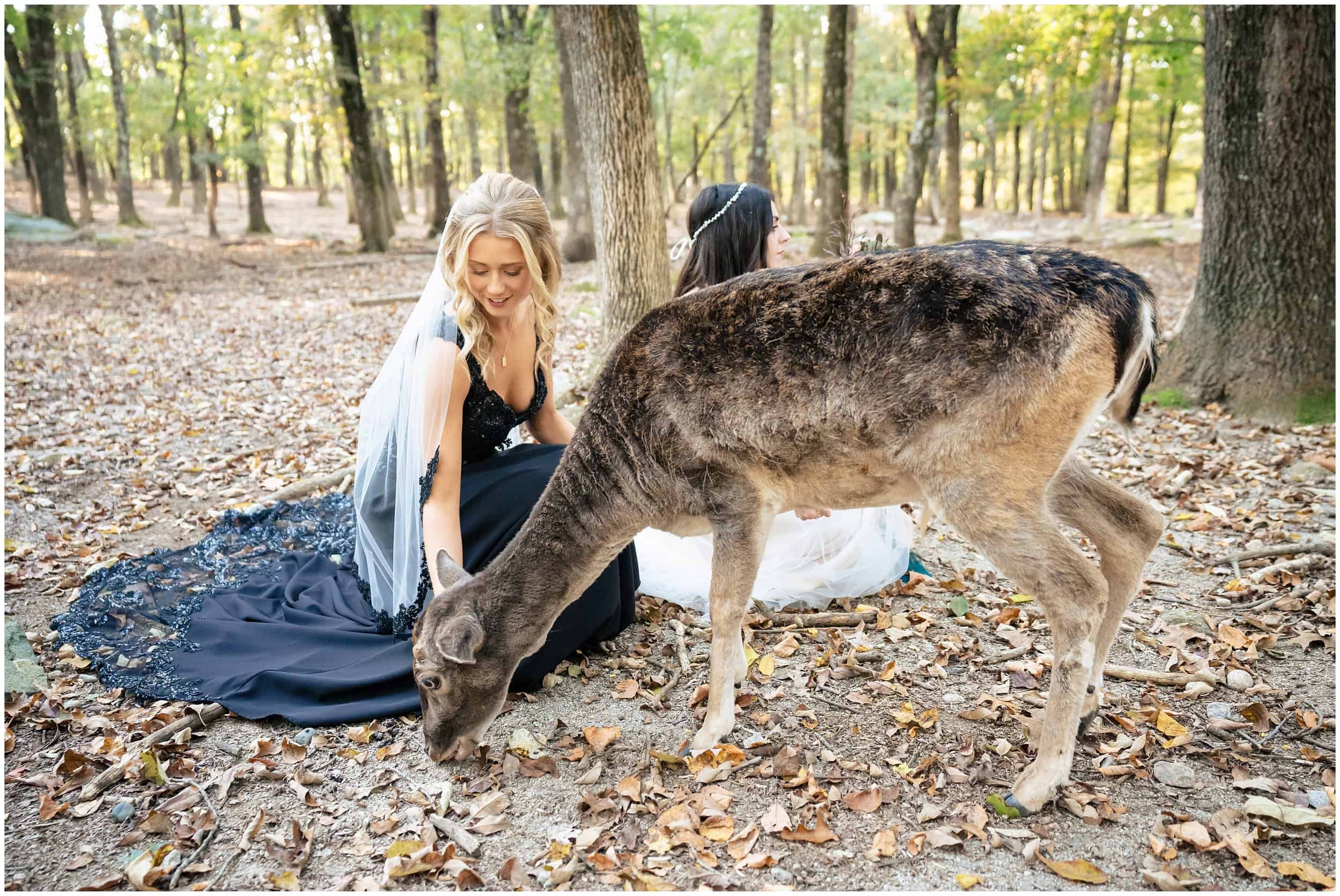 Southwick Zoo Wedding Photographers, Massachusetts Wedding Photographers, Two Adventurous Souls- 101123_0005.jpg