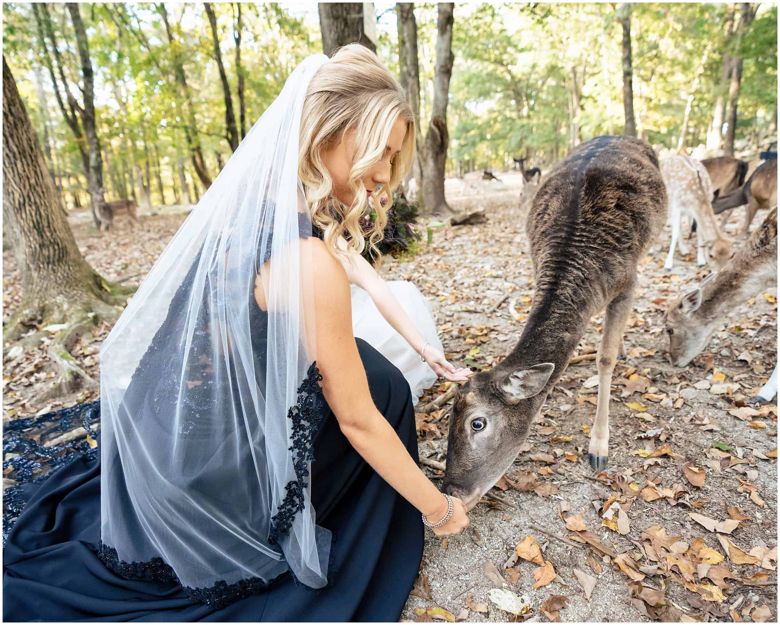 Southwick Zoo Wedding Photographers, Massachusetts Wedding Photographers, Two Adventurous Souls- 101123_0006.jpg