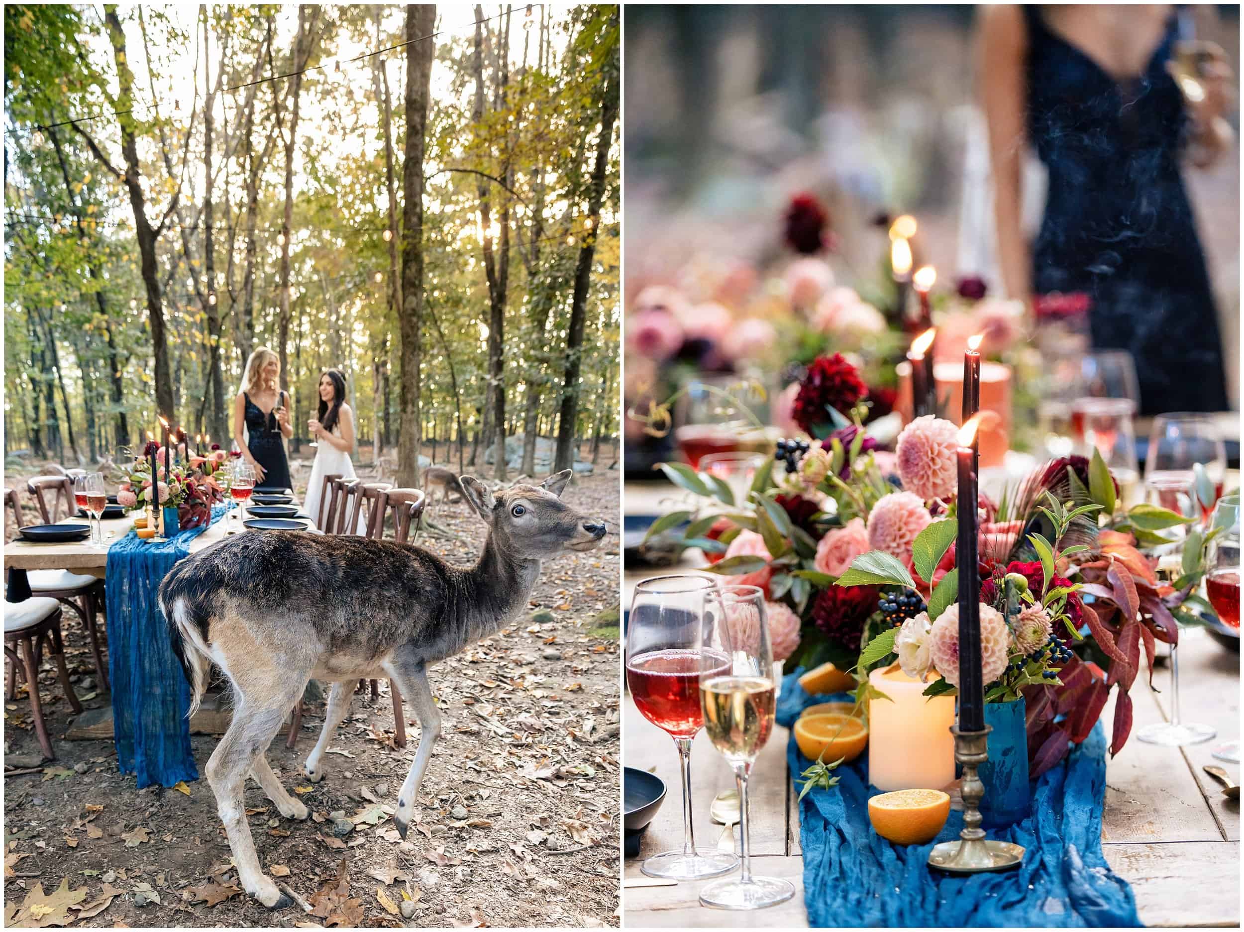 Southwick Zoo Wedding Photographers, Massachusetts Wedding Photographers, Two Adventurous Souls- 101123_0012.jpg