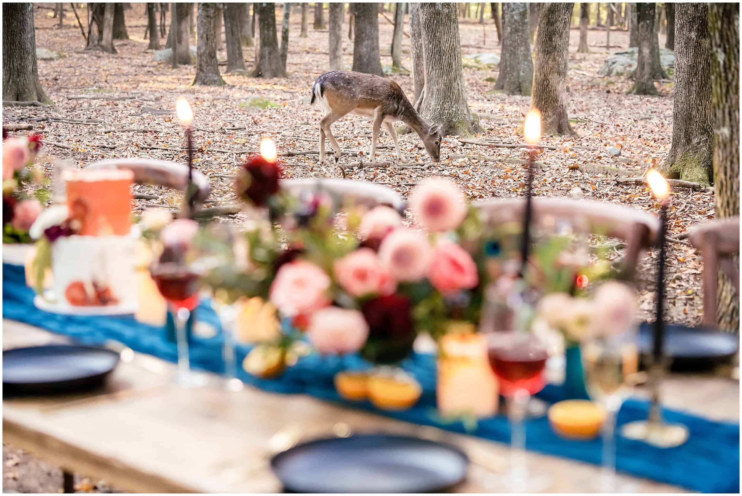 Southwick Zoo Wedding Photographers, Massachusetts Wedding Photographers, Two Adventurous Souls- 101123_0021.jpg