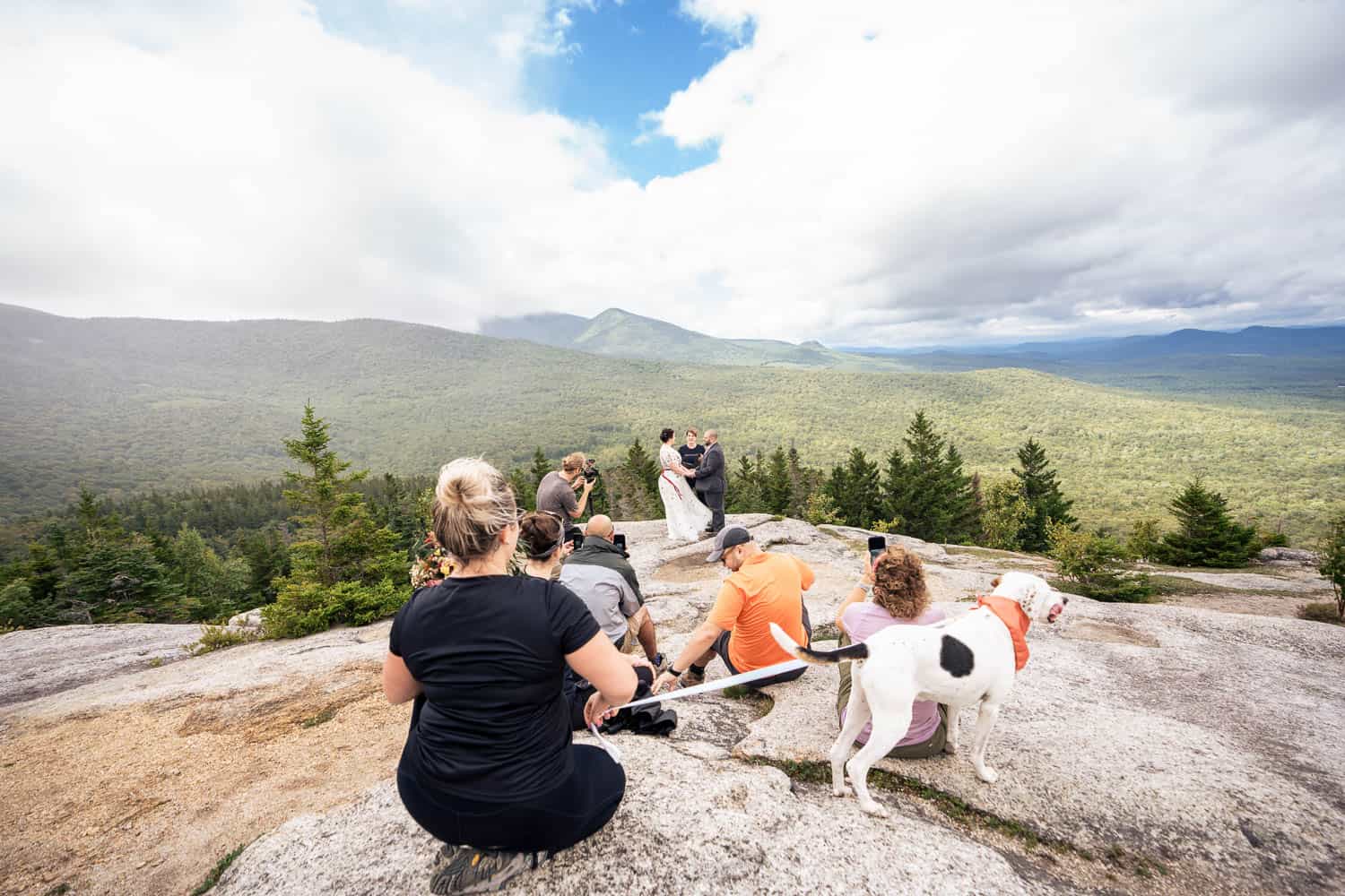 A small group of people, including a white and black dog, sit and stand on a rocky mountain peak, overlooking a vast forested landscape under a partly cloudy sky.