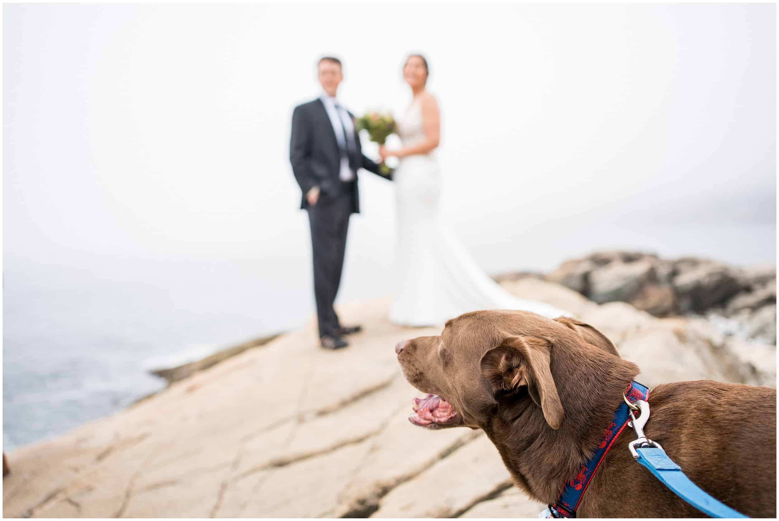 Bar Harbor Maine Wedding Photographers, Acadia National Park Wedding Photographer, Two Adventurous Souls- 061523_0021.jpg