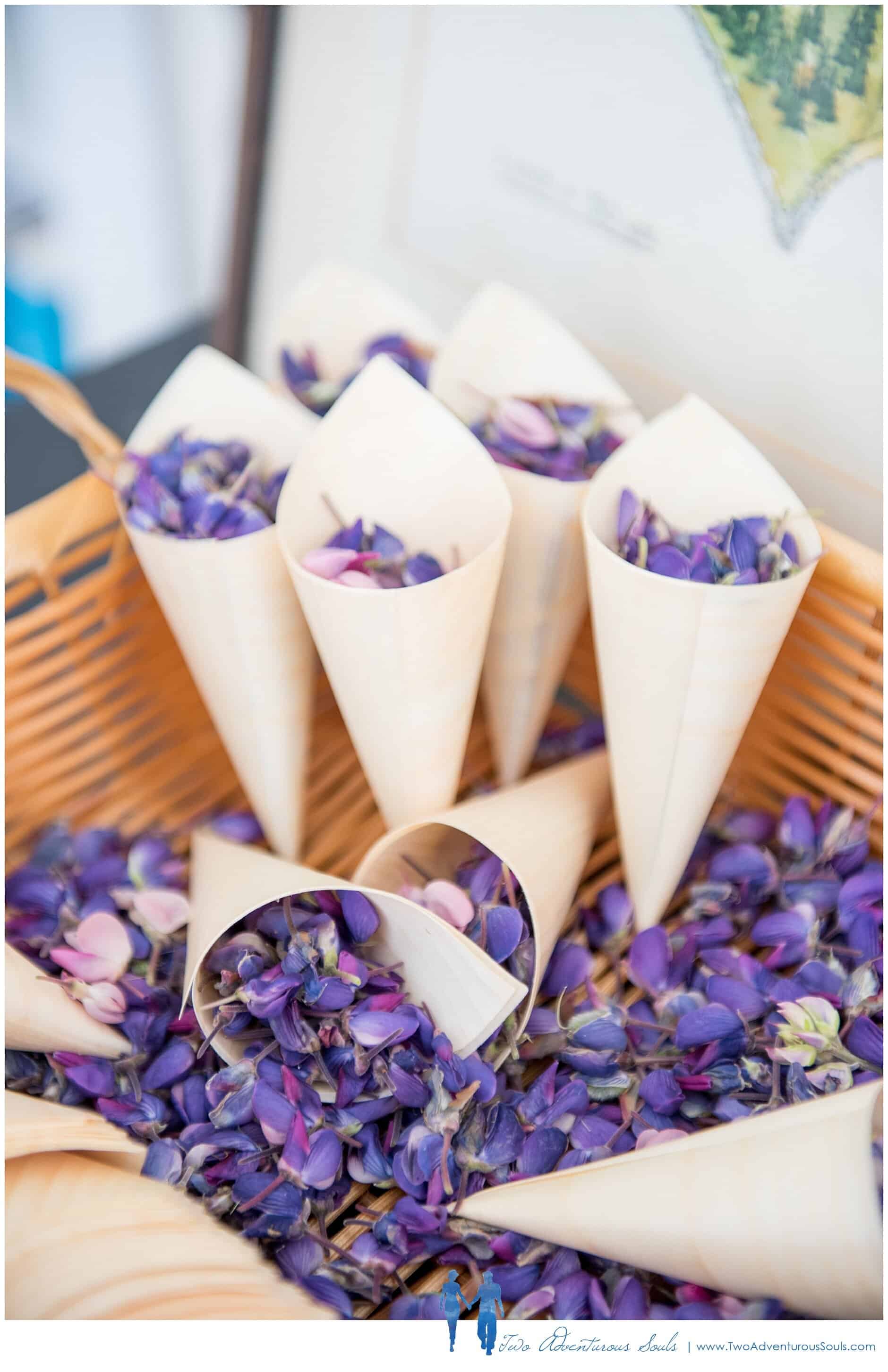 Flower Petal Toss, Bar Harbor Maine Wedding Photographers, Two Adventurous Souls - sheephead_0001.jpg