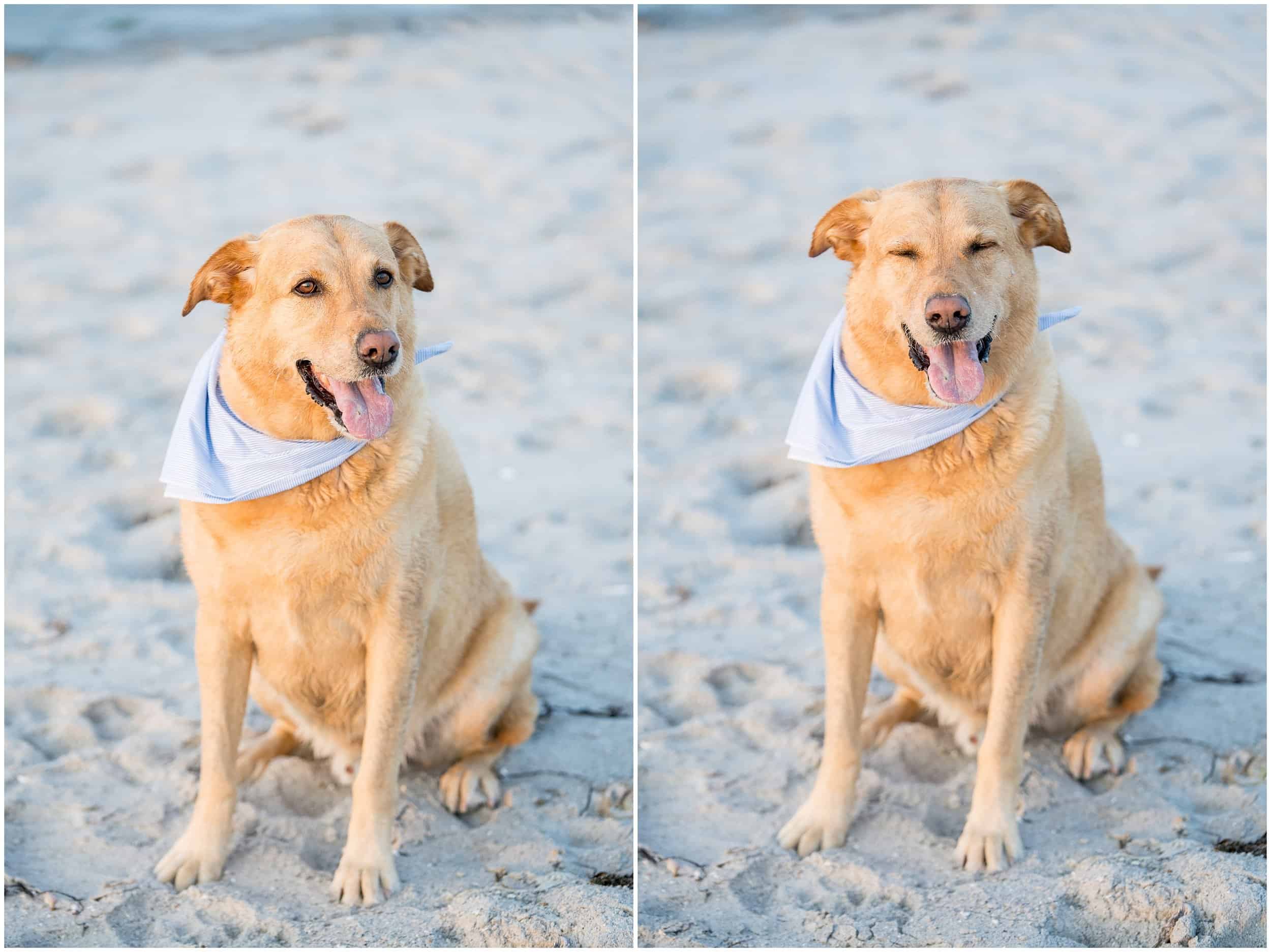 Gloucester MA Wedding Photographers, Wingearsheek Beach Engagement Photographers, Two Adventurous Souls- 063023_0016.jpg