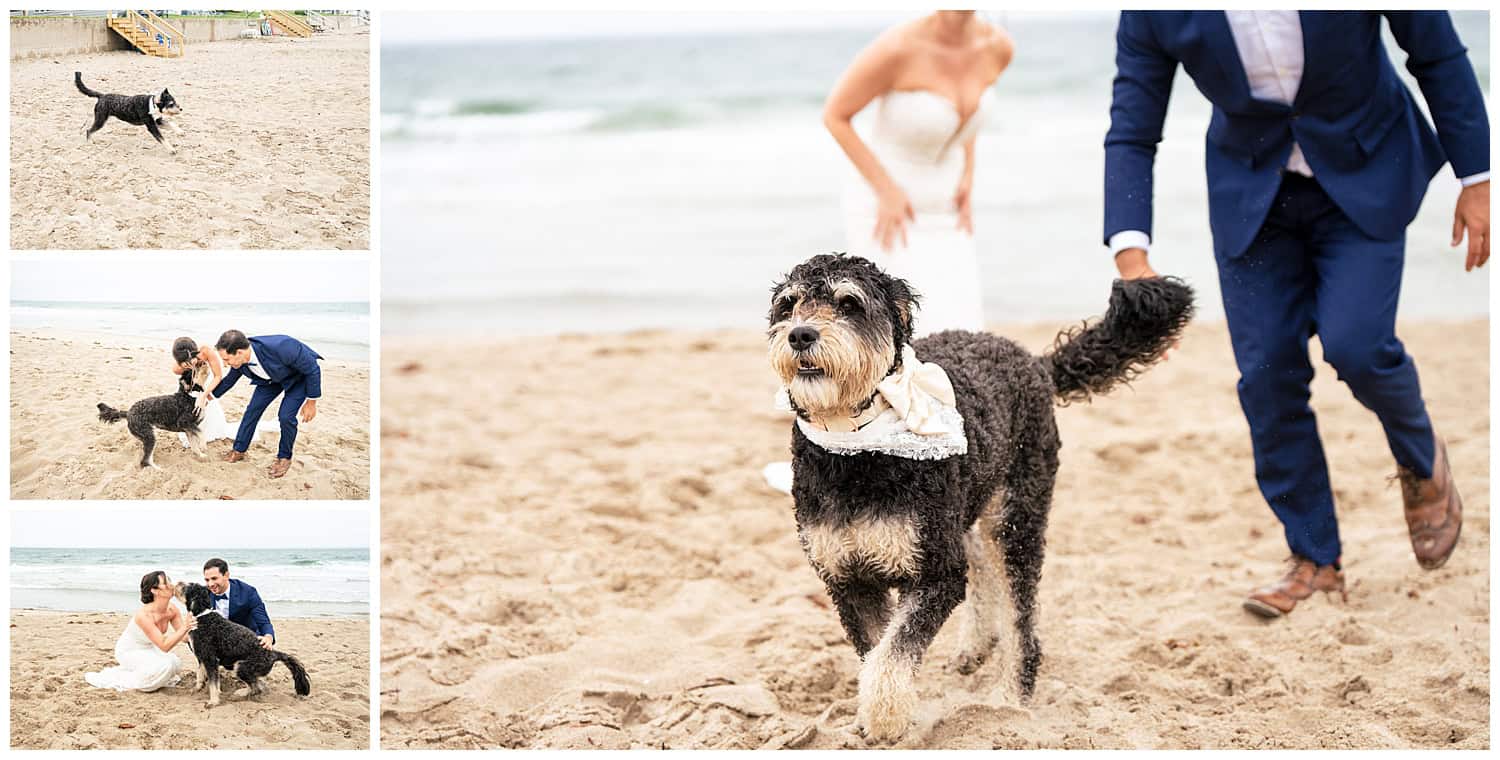 York Maine Wedding. Josia's River Farm Wedding captured by Two Adventurous Souls