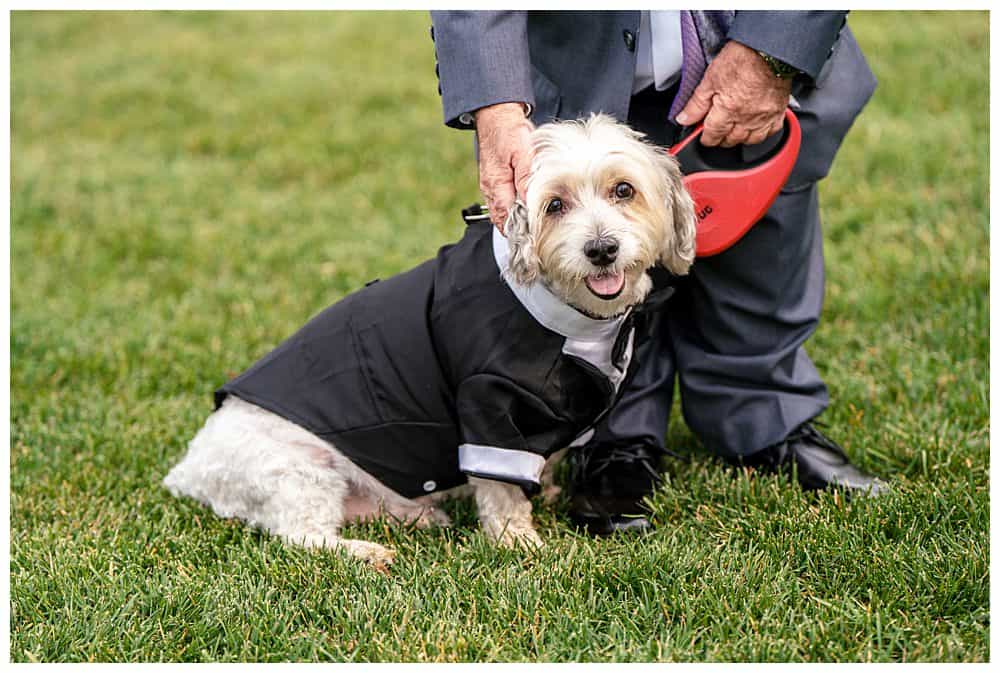 Bar Harbor Inn Wedding by Bar Harbor Wedding Photographers, Two Adventurous Souls