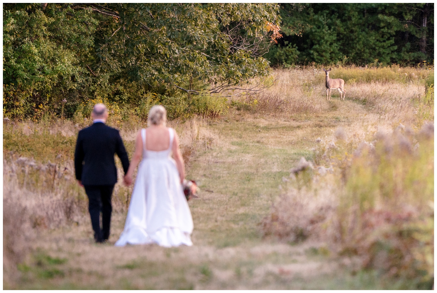 Scotland Fields Wedding Photos, York Maine Wedding Photographers
