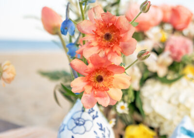 Maine Picnic Wedding, Ocean house Hotel Wedding, Two Adventurous Souls