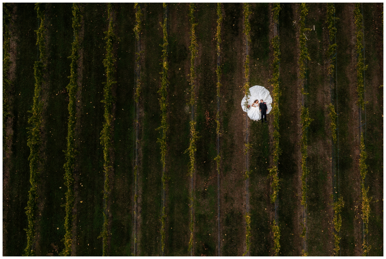 Flag Hill Winery Wedding Photos, Captured by New Hampshire Wedding Photographers, Two Adventurous Souls